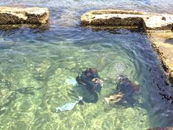 Malta shore diving.